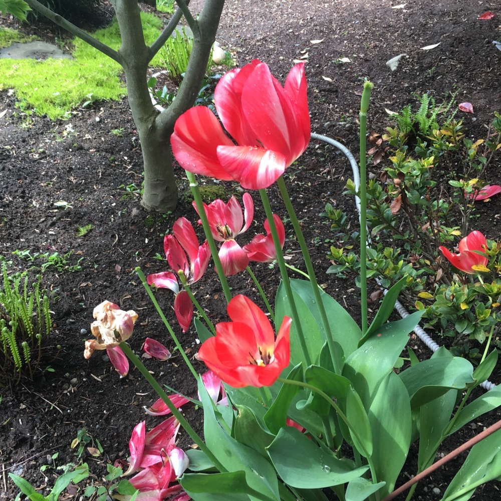 Meet your Posher, Ava